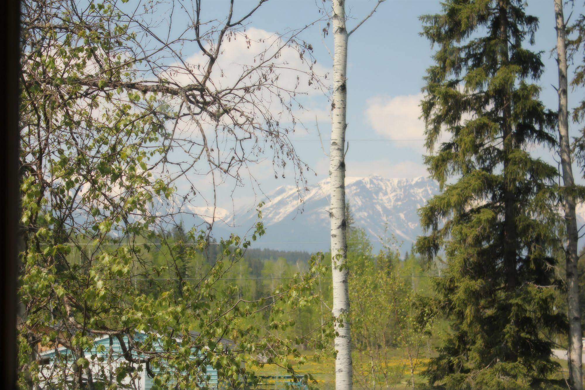 Kicking Horse Kabins Golden Esterno foto